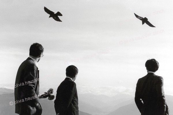 Photography titled "47efff78-75a4-420a-…" by Olivia Heussler, Original Artwork