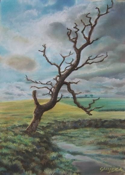 L'arbre foudroyé