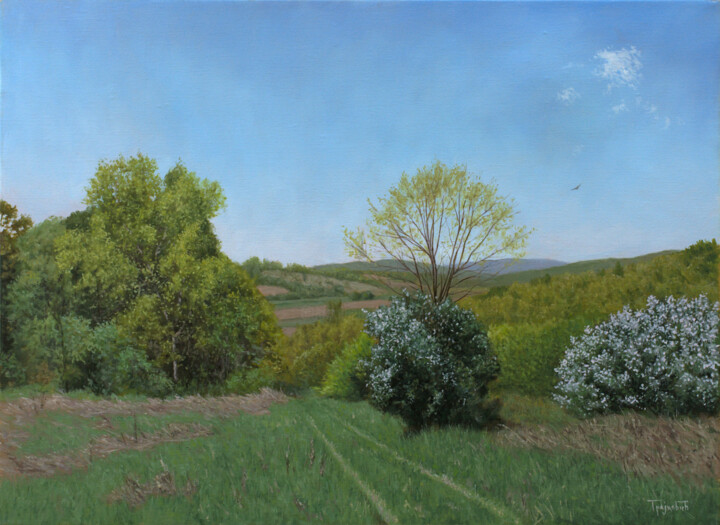 绘画 标题为“The Meadow in Spring” 由Dejan Trajkovic, 原创艺术品, 油
