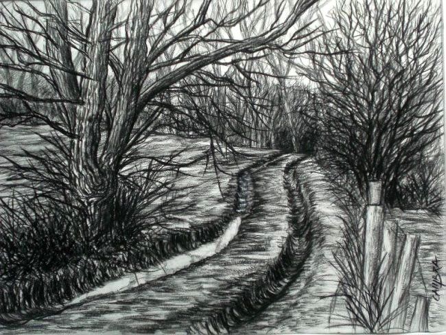 Chemin forestier en hiver