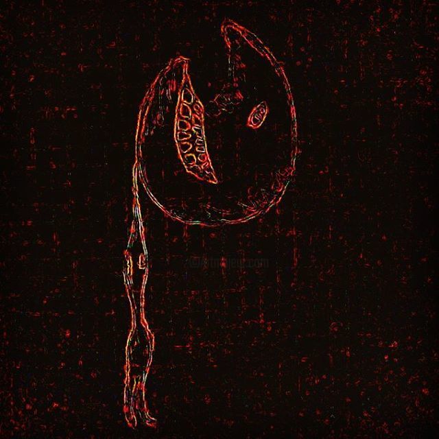 Digital Arts titled "Inside Out" by Radosław Godowicz, Original Artwork, Digital Painting