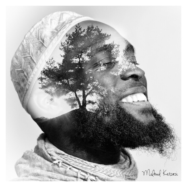 Φωτογραφία με τίτλο "arbre.jpg" από Miloud Kerzazi, Αυθεντικά έργα τέχνης