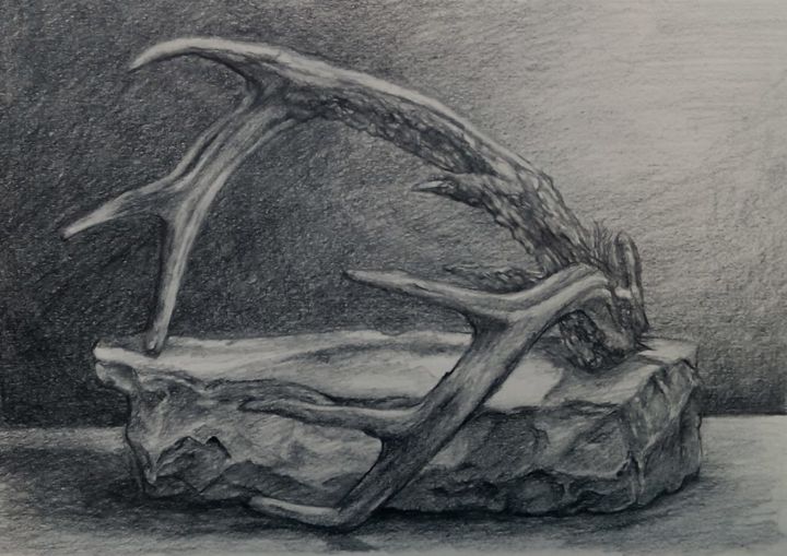 Drawing titled "Corna." by Diana Gaeta, Original Artwork, Graphite