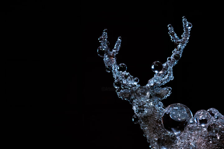 Fotografie getiteld "crystal deer" door Karina Panaetova, Origineel Kunstwerk