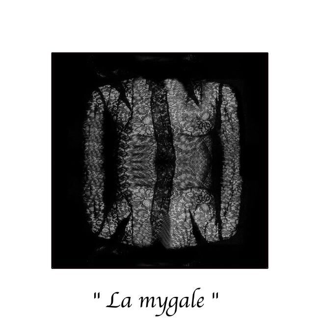 Fotografía titulada "La mygale" por Marc Acquaviva, Obra de arte original