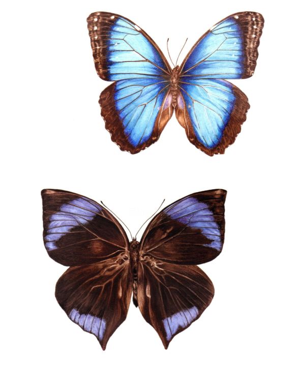 Additional views 2