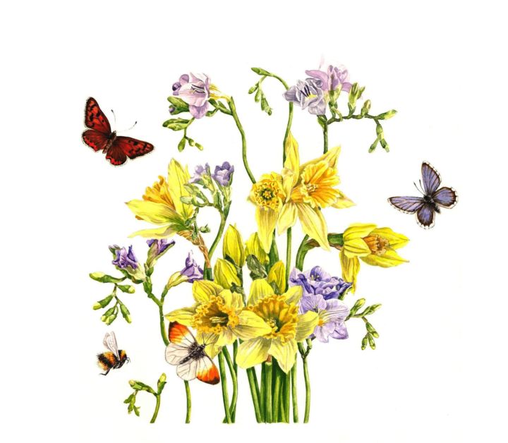 「Freesias and Daffod…」というタイトルの絵画 Zoe Normanによって, オリジナルのアートワーク, 水彩画 段ボールにマウント