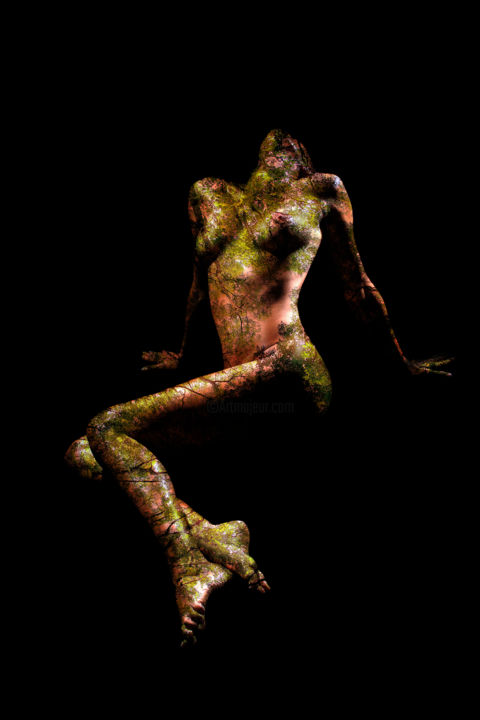 Photography titled "FORET.jpg" by Jean-Albert Coopmann, Original Artwork