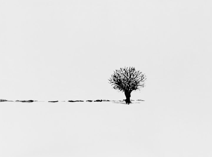 绘画 标题为“Lonley Tree” 由John Von Brown, 原创艺术品, 墨