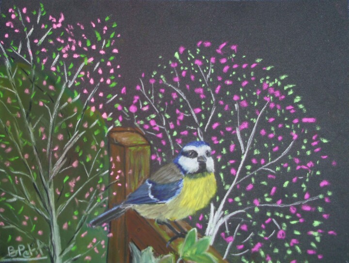 Pintura intitulada "Mesange3" por Benjamin Petit, Obras de arte originais, Pastel