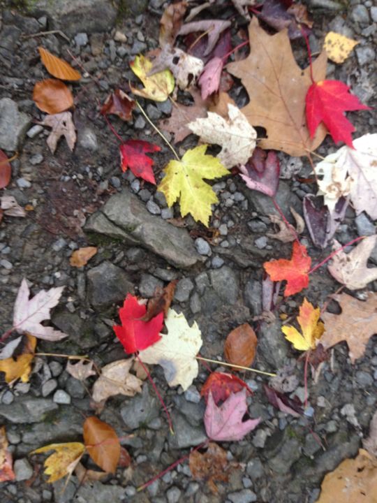 Photographie intitulée "feuilles d'automne" par Paul Yves Poumay, Œuvre d'art originale