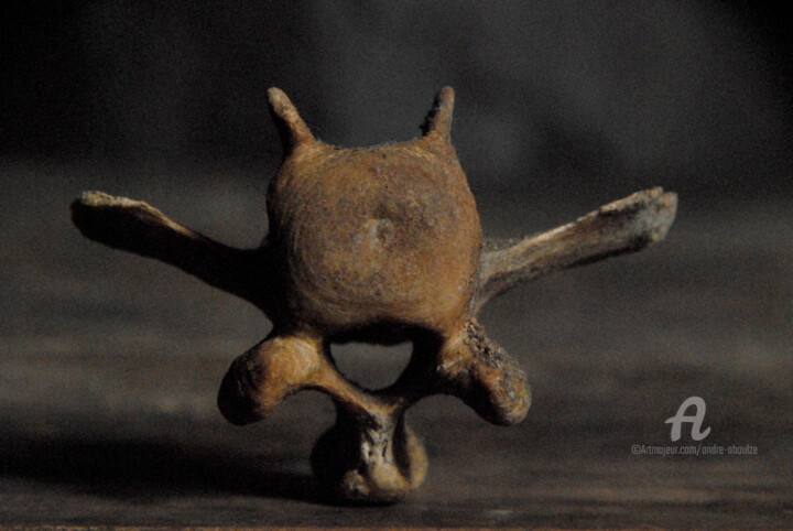 Photography titled "Nature morte à l''o…" by André Boulze, Original Artwork, Non Manipulated Photography