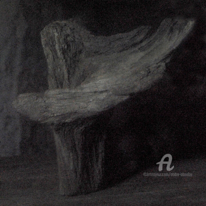 Photography titled "Nature morte au boi…" by André Boulze, Original Artwork