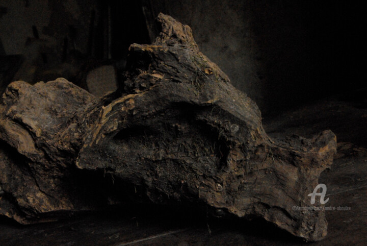 Photography titled "Le Dragon - Nature…" by André Boulze, Original Artwork, Digital Photography