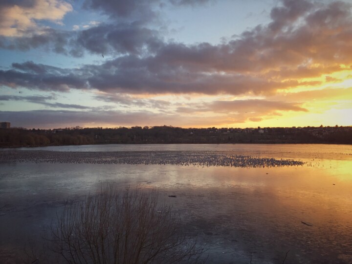 Fotografía titulada "Coucher de soleil" por Agnès M, Obra de arte original