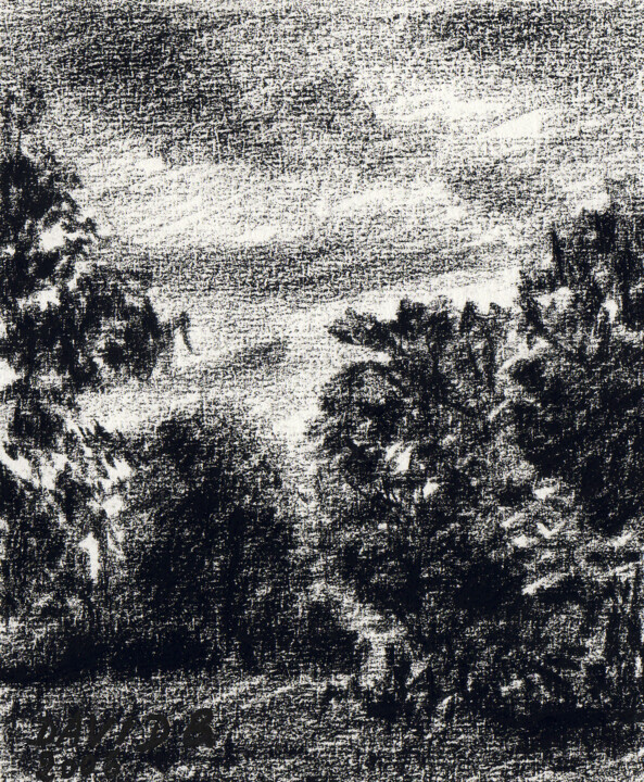 Dessin intitulée "Arbres (croquis à l…" par David Benayoun, Œuvre d'art originale, Crayon