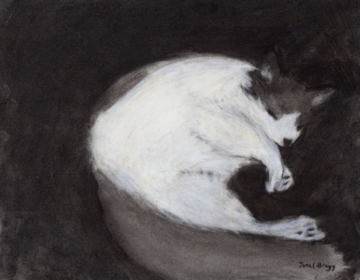 Thomas taking a Nap 图画, 11x14 in