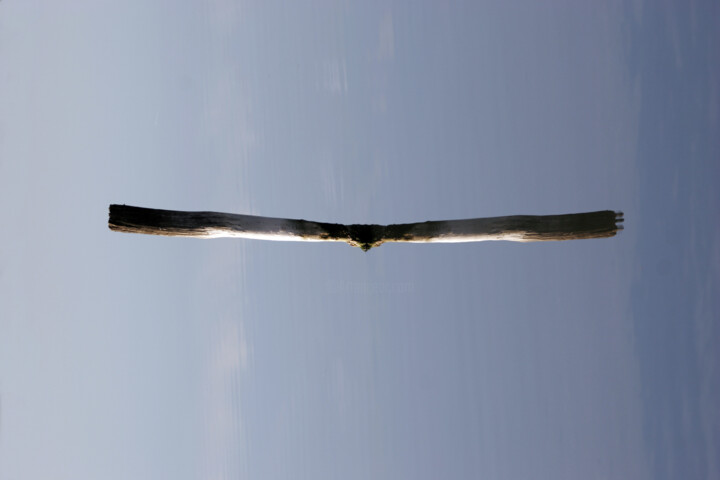 Fotografie getiteld ""IL VOLO"" door Serafino Deriu, Origineel Kunstwerk