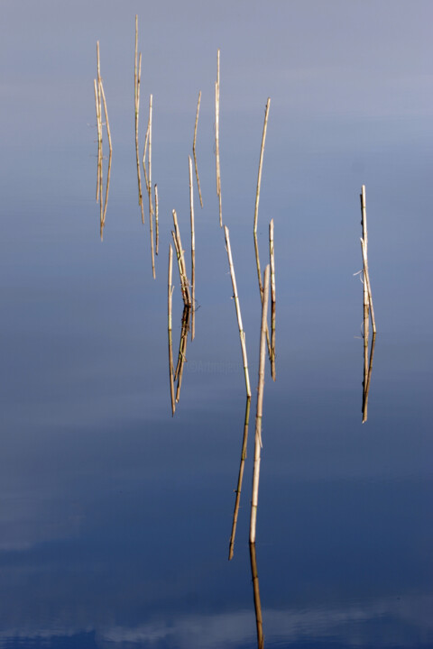 Fotografie getiteld ""IL VIAGGIO"" door Serafino Deriu, Origineel Kunstwerk