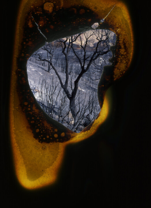 Fotografie getiteld ""DIA MADRE... TERRA…" door Serafino Deriu, Origineel Kunstwerk