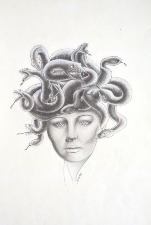 Medusa 图画, 15.8x11.8 in