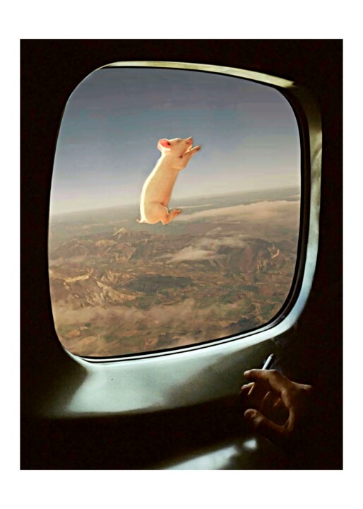 Stratospheric Pig 数字艺术, 27.6x19.7 in