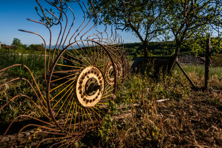 Photographie intitulée "Papillon" par Nicolas Bernié, Œuvre d'art originale