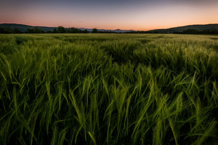 Photographie intitulée "Paysage Martres" par Nicolas Bernié, Œuvre d'art originale
