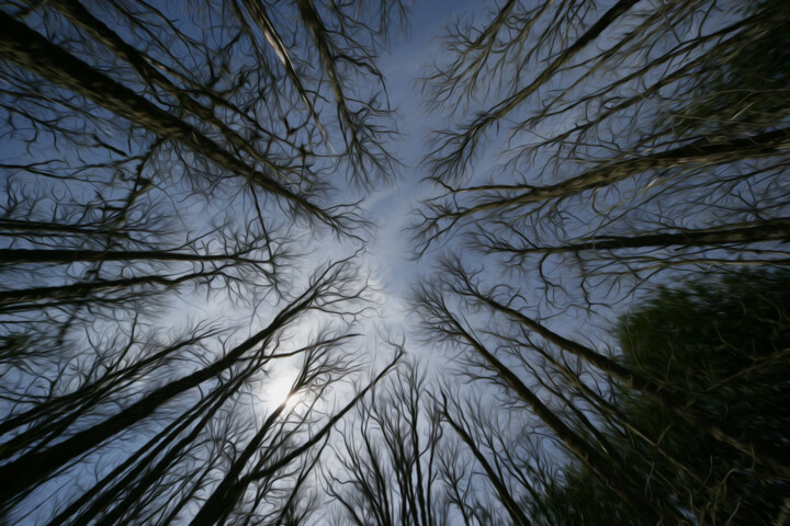 "100-1727.jpg" başlıklı Dijital Sanat Serafino Deriu tarafından, Orijinal sanat, Foto Montaj