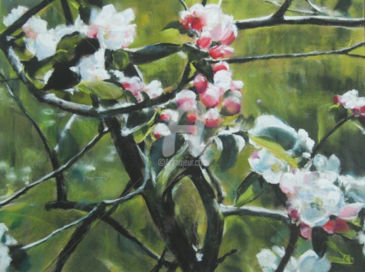绘画 标题为“Fleurs de pommier” 由Isabelle Douzamy, 原创艺术品, 粉彩