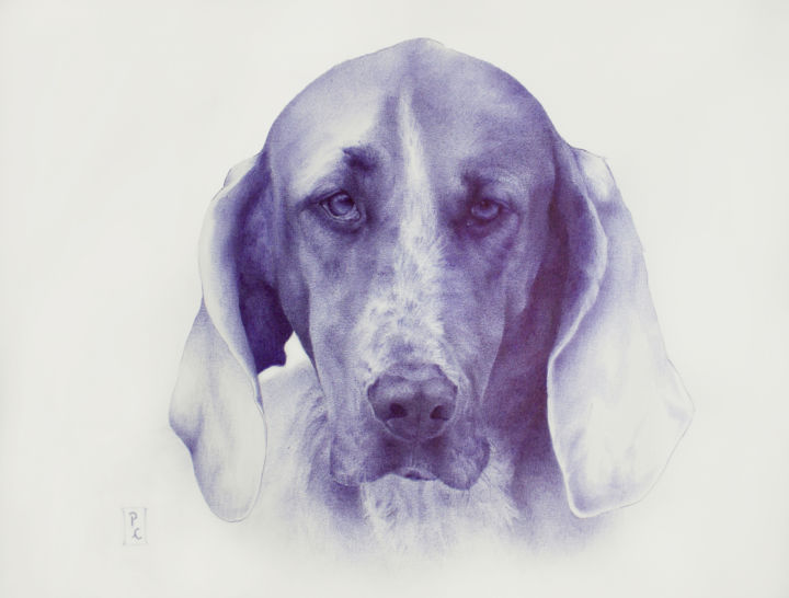 Drawing titled "cocordano-tricolore…" by Pauline Cocordano, Original Artwork, Ballpoint pen