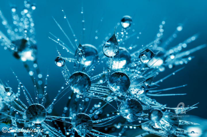 Photography titled "water becomes ice" by Sneakypicture, Original Artwork