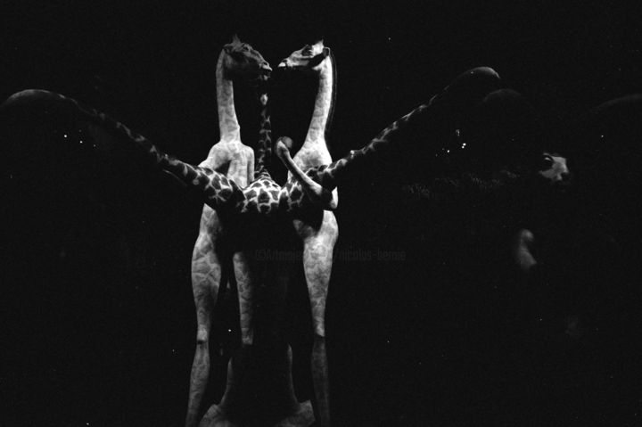Photographie intitulée "Bisous" par Nicolas Bernié, Œuvre d'art originale