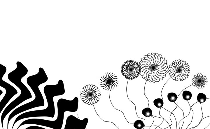 "Black & White" başlıklı Dijital Sanat Stylux tarafından, Orijinal sanat, Dijital Resim