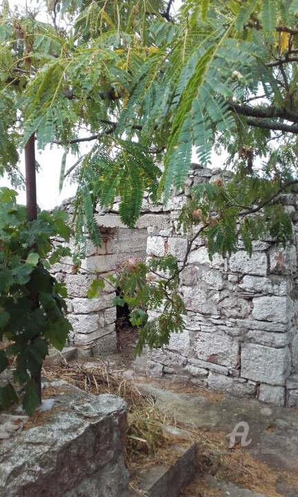 Photographie intitulée "Nature, Otok Vis, C…" par Marija Sviličić, Œuvre d'art originale, Photographie non manipulée