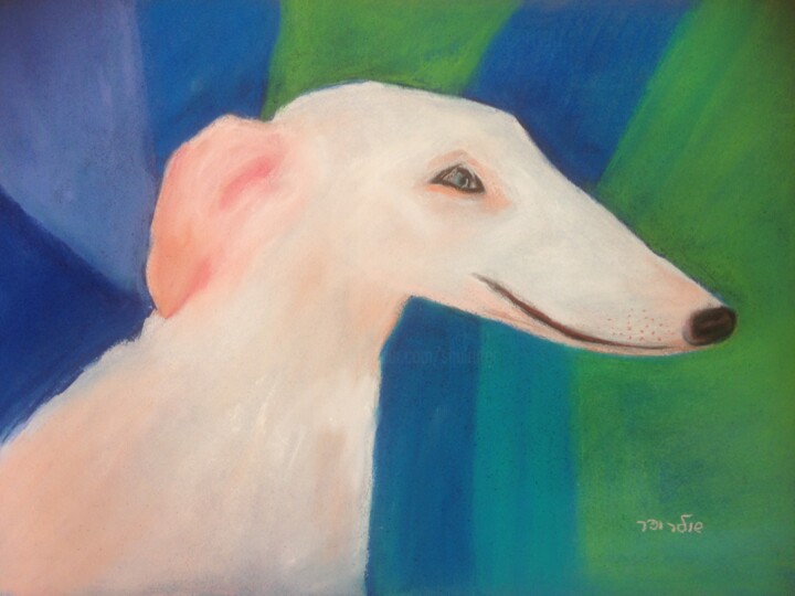 white dog 图画, 16.9x22.8 in