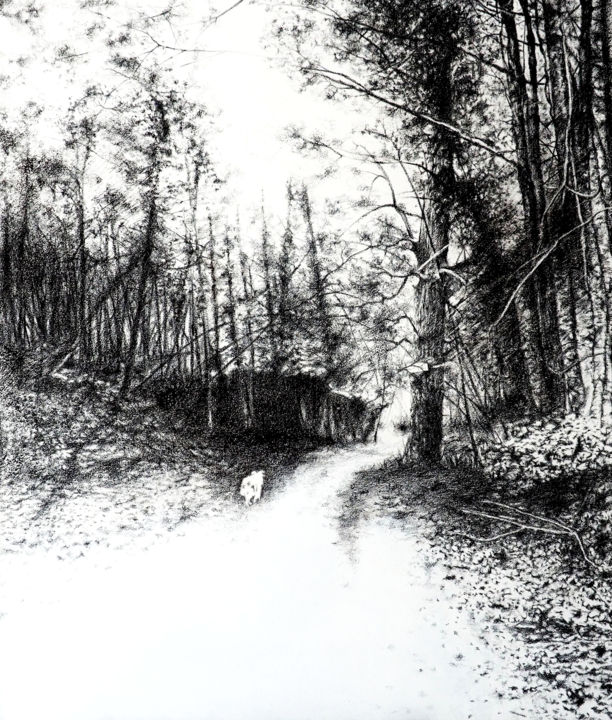 Desenho intitulada "Le Domaine de Givray" por B. Alexis, Obras de arte originais, Giz