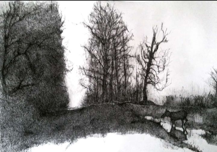 Gopło lake Drawing, 9.8x15.8 in