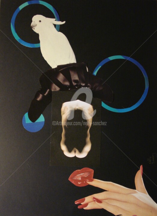 "Qui sommes-nous ?" başlıklı Kolaj Nelly Sanchez tarafından, Orijinal sanat, Kolaj