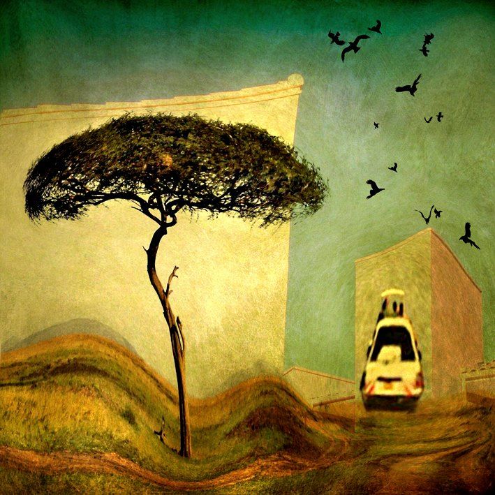 Arts numériques intitulée "Safari.jpg" par Michel Staumont, Œuvre d'art originale, Photo montage