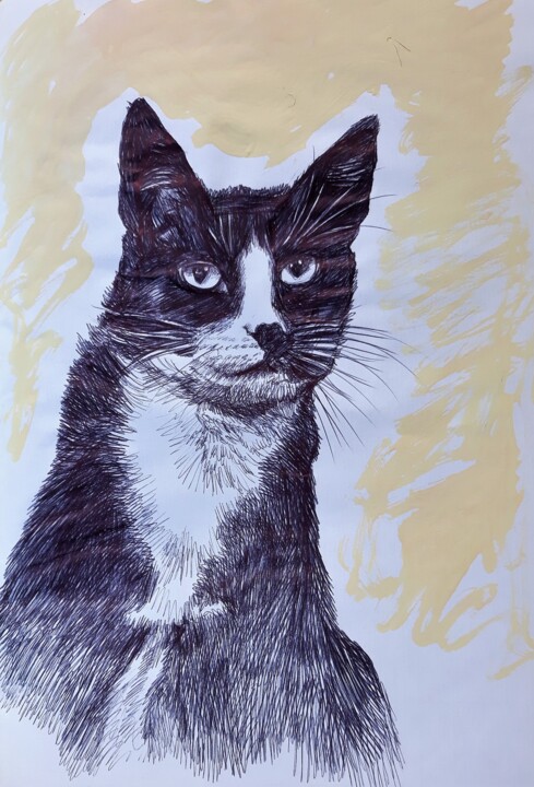 The Cat 图画, 10.6x8.3 in