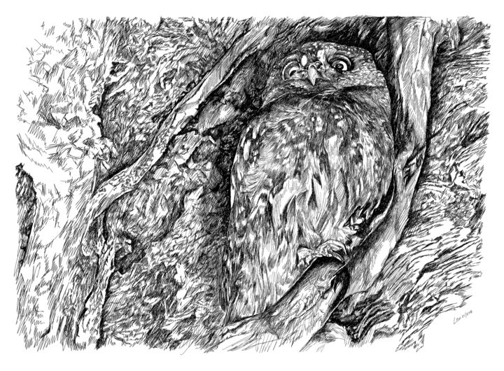 Peinture intitulée "owlfin.jpg" par Len, Œuvre d'art originale