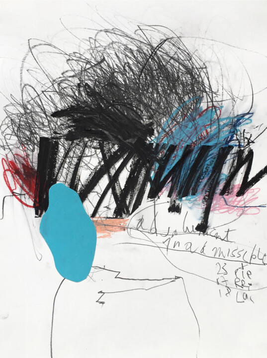 Dessin intitulée "ABSOLUTELY INADMISS…" par Luc Pierre, Œuvre d'art originale, Fusain