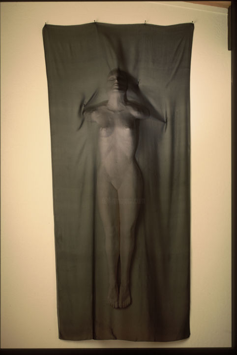 Sculpture titled "denial, oh beautiful" by Suzanne Waters, Original Artwork, Clay Mounted on Metal