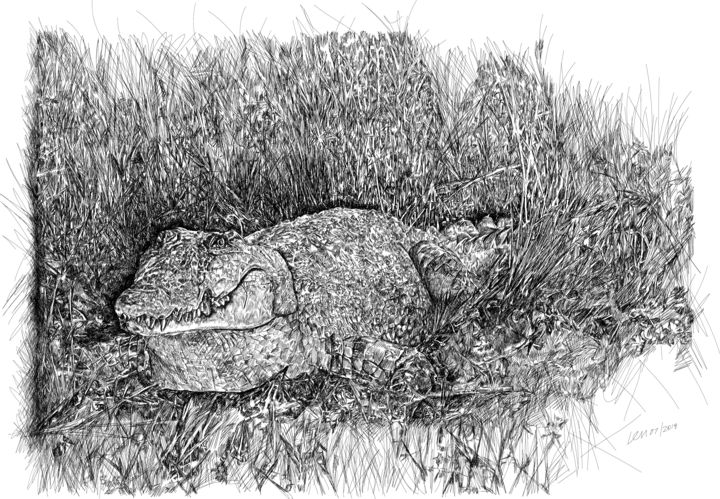 Peinture intitulée "croc.png" par Len, Œuvre d'art originale