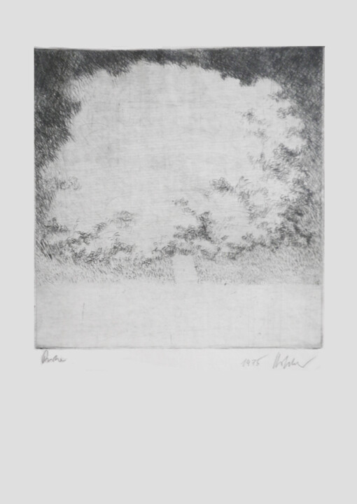 Baum Printmaking, 16.5x11.7 in