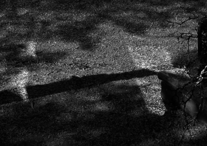 Photography titled "shadow light paris…" by Leonard Rachita Photographie, Original Artwork