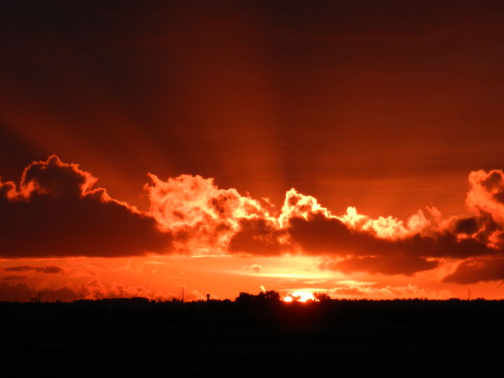 Photography titled "LA DERNIÈRE HEURE" by Le Livreur De Chats, Original Artwork