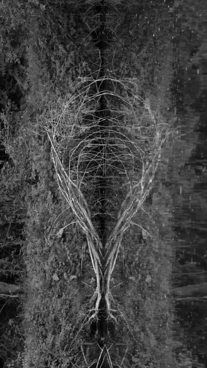 Photography titled "Totem de Loue N°1" by Jrlonghi Photographie, Original Artwork