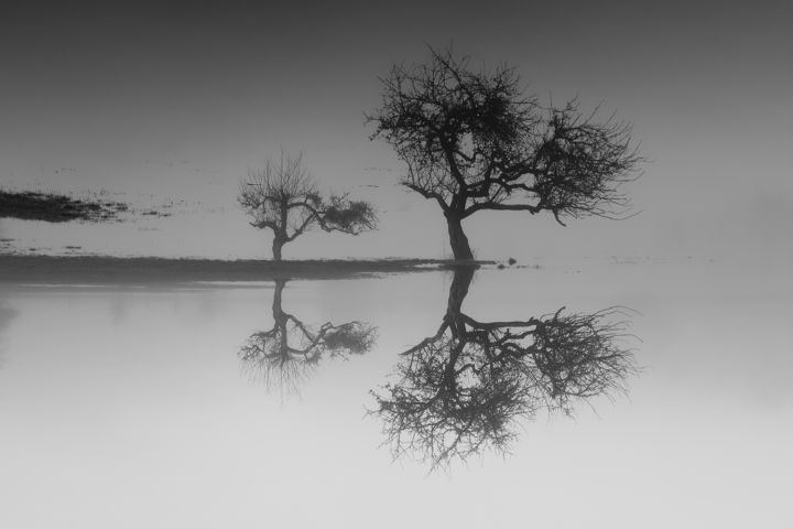 Photography titled "Marais de Saône, sé…" by Jrlonghi Photographie, Original Artwork